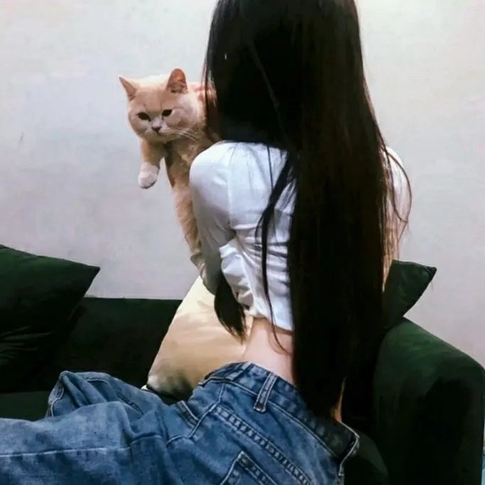 黑盒子